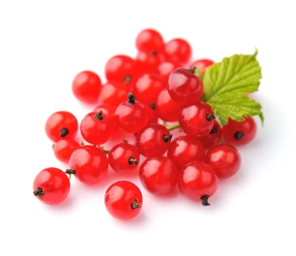 Red currants — Stock Photo, Image