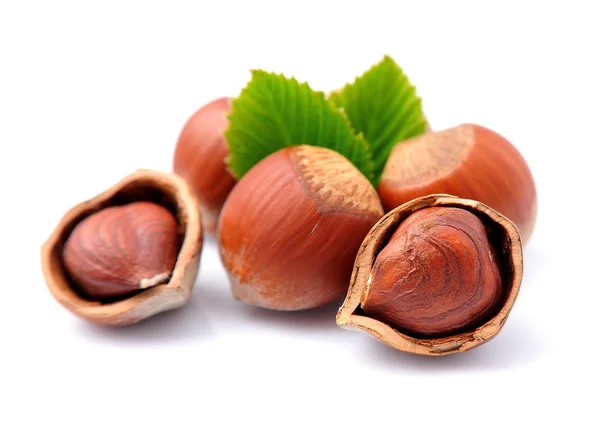 Ořech ořechy — Stock fotografie
