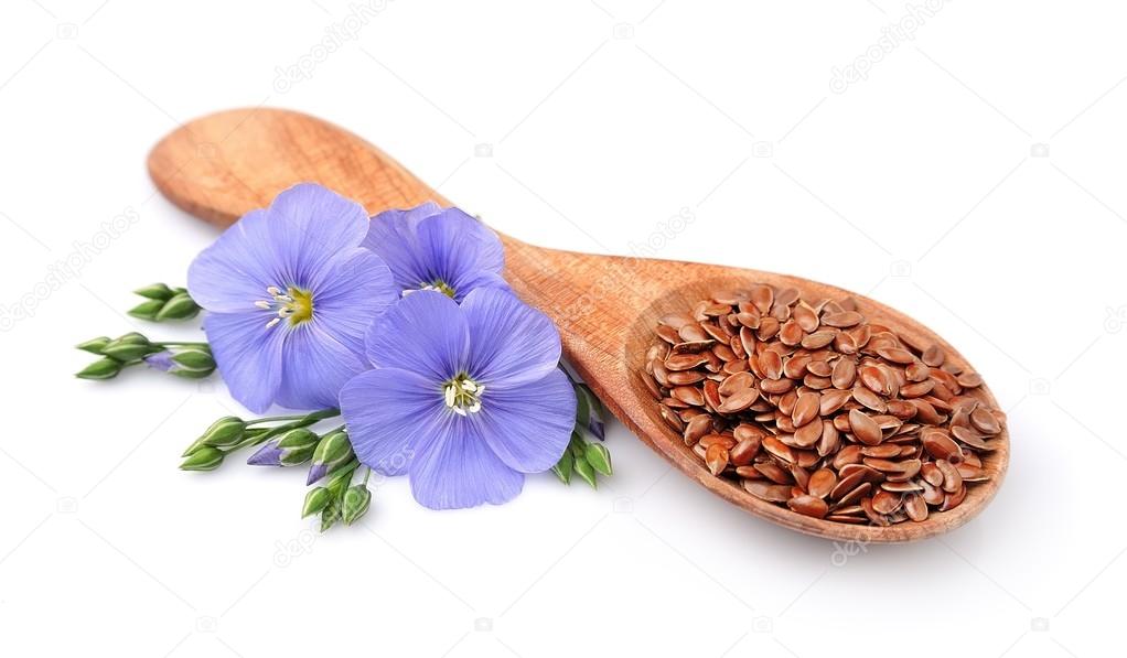 Flax seed