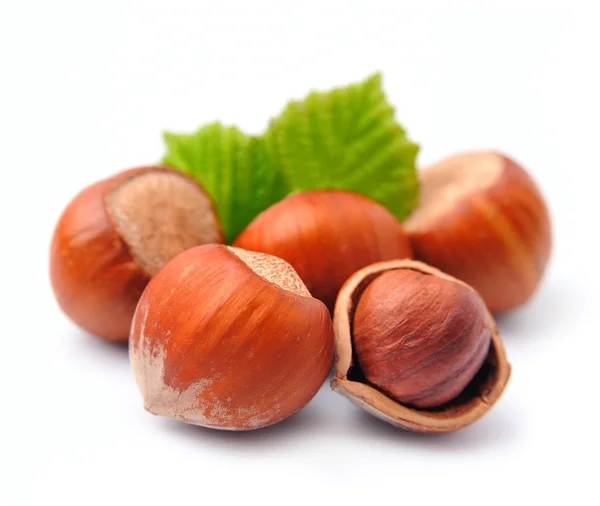 Ořech ořechy — Stock fotografie