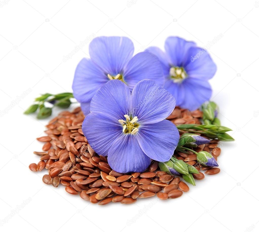 Flax seeds with flowers