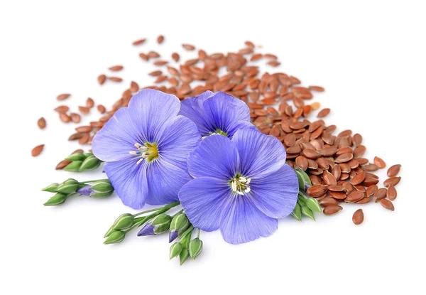 Flax seeds with flowers — Stock Photo, Image