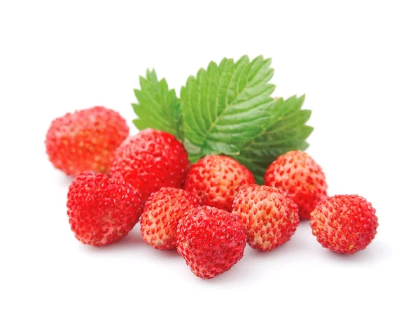 Wild strawberries — Stock Photo, Image