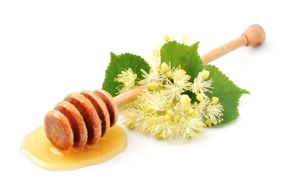 Honey dipper and linden branch — Stock Photo, Image