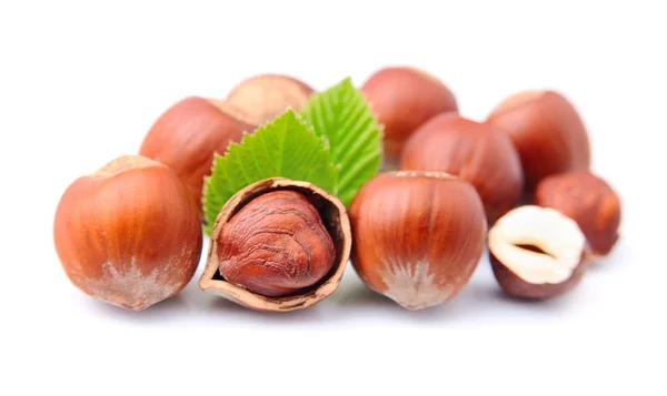 Hazelaar noten met blad — Stockfoto