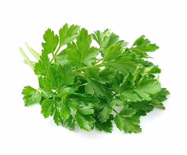 Parsley herbs close up — Stock Photo, Image