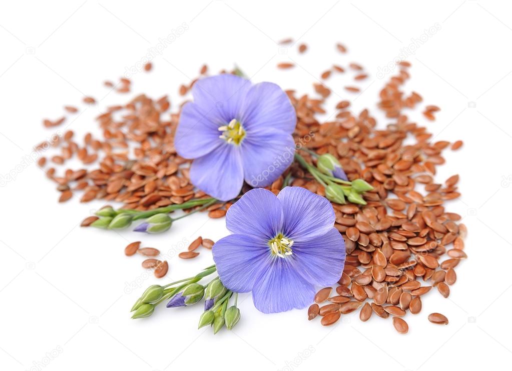 Flax seeds with flowers