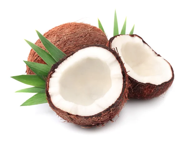 Cocos con hojas — Foto de Stock