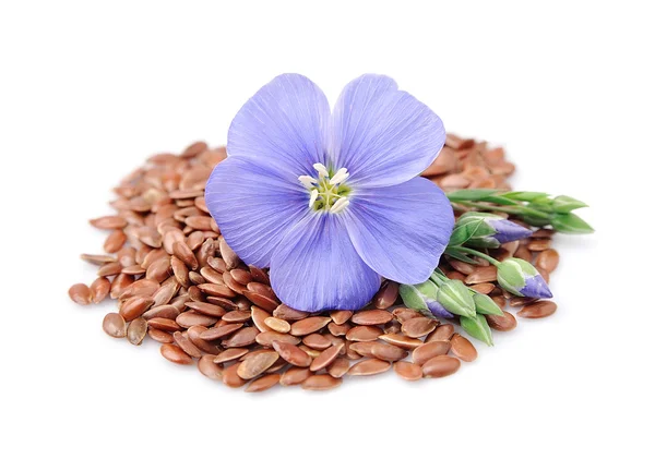 Flax seeds with flowers — Stock Photo, Image