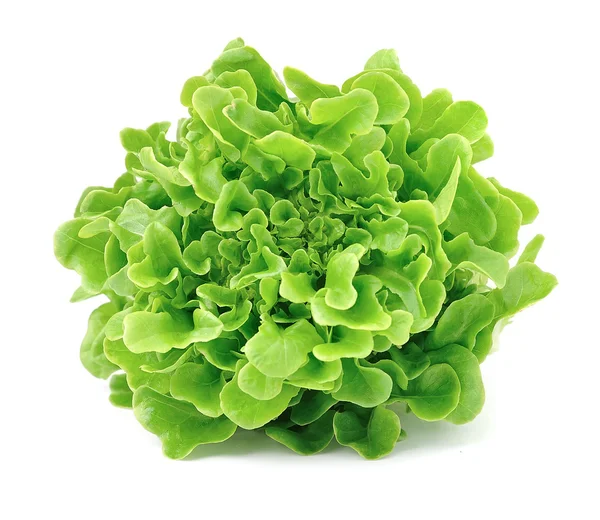 Salad leafs — Stock Photo, Image