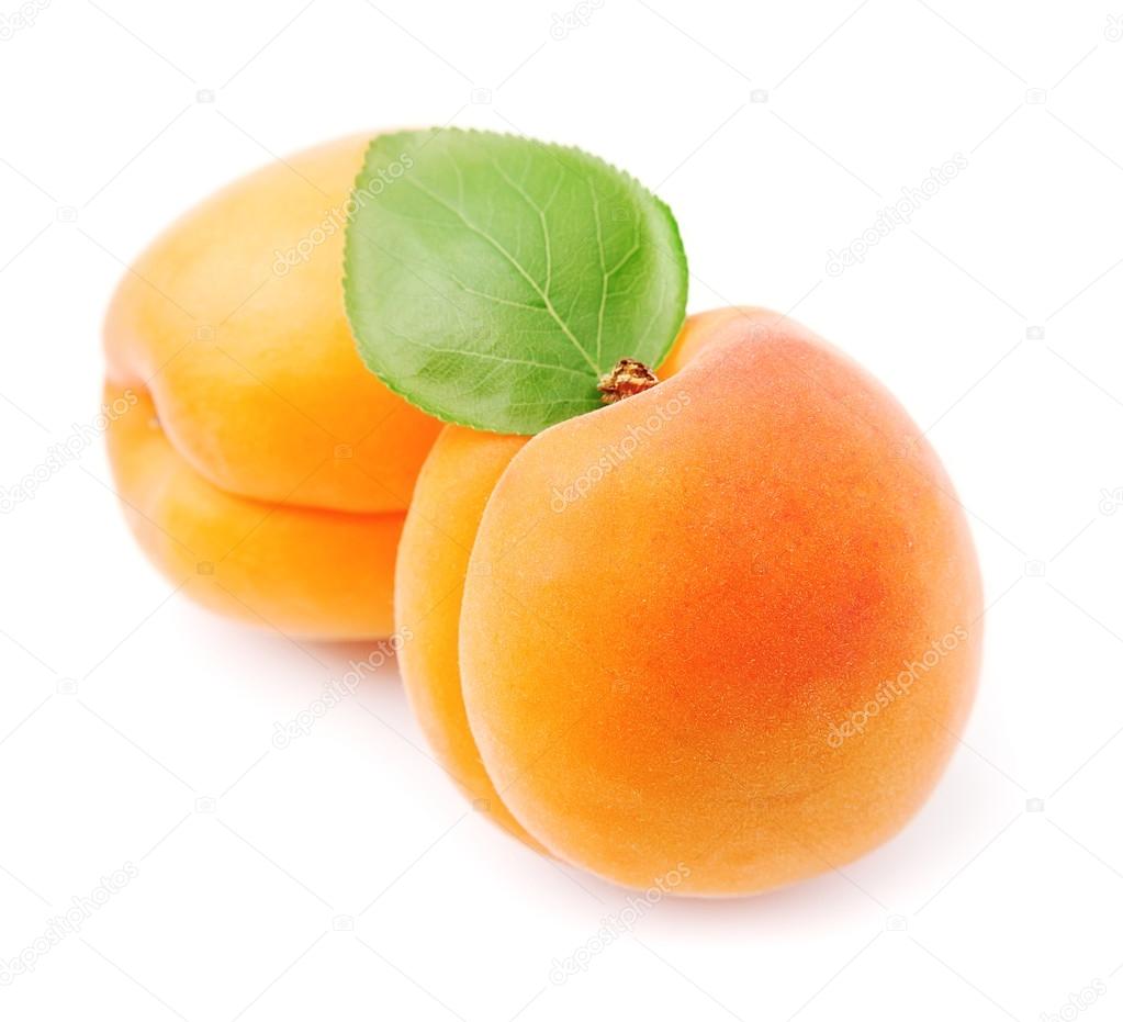 Sweet apricots fruits 