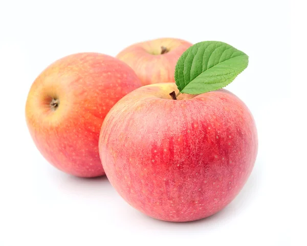 잘 익은 사과 과일 — 스톡 사진