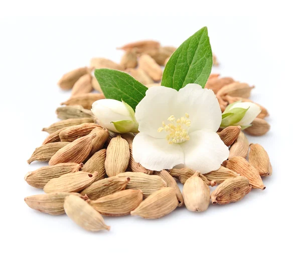 Vainas de cardamomo con flores de jazmín — Foto de Stock