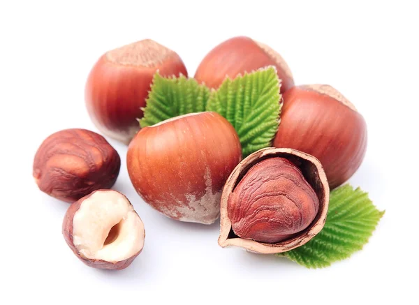 Filbert nuts Stock Photo