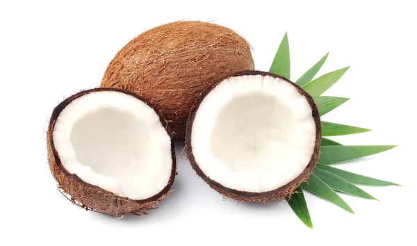 Coconuts — Stock Photo, Image