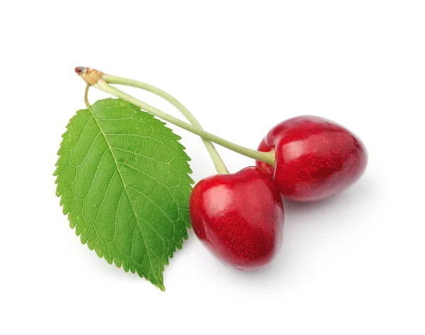Sötkörsbär frukter närbild på vit. — Stockfoto