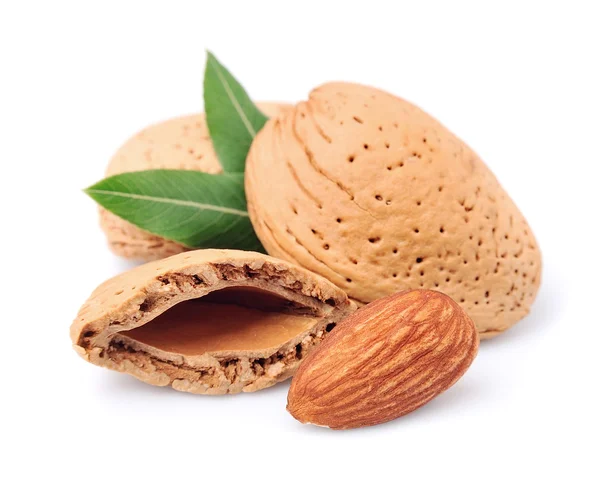 Almonds nuts — Stock Photo, Image