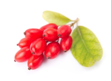 Yapraklı barberry.