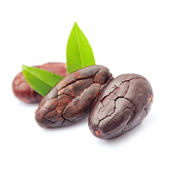 Fagioli di cacao con foglie — Foto Stock