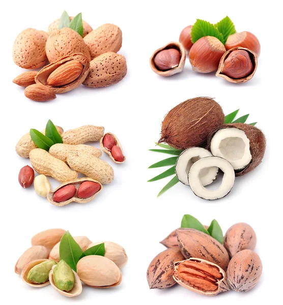 Collection of nuts — Stock Photo, Image