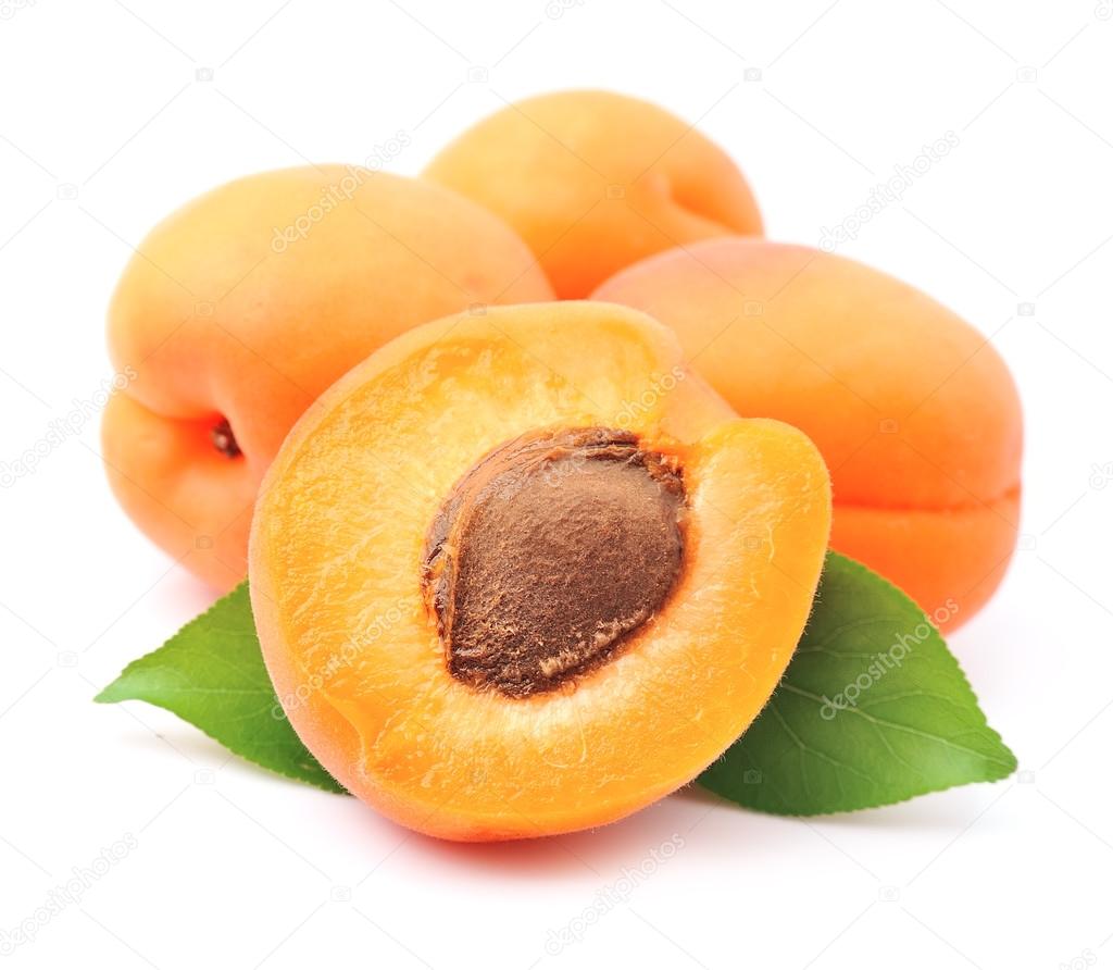 Sweet apricots fruits with leaves