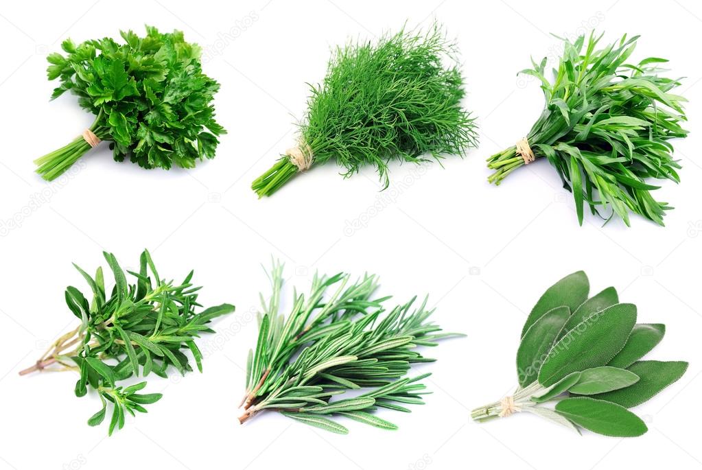 Collage of green herbs .