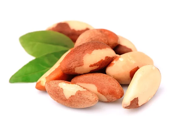 Бразильские орехи с листьями — стоковое фото