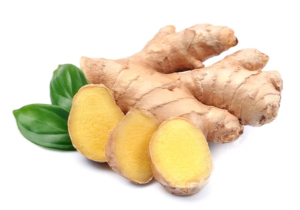 Ginger root  with leaves — Stock Photo, Image