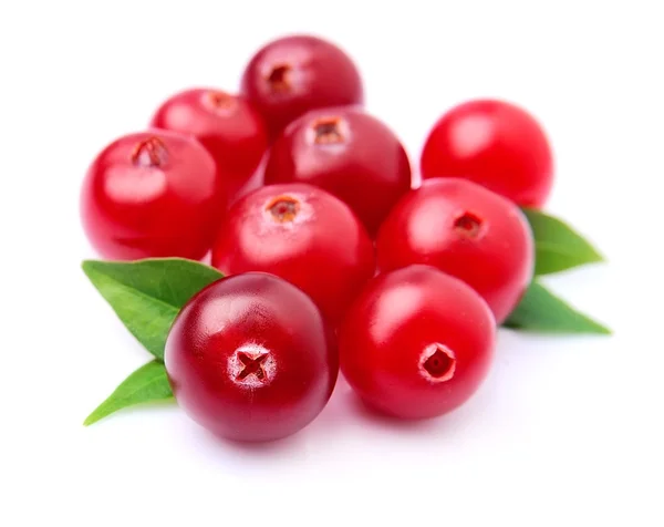 Cranberries doces em branco — Fotografia de Stock