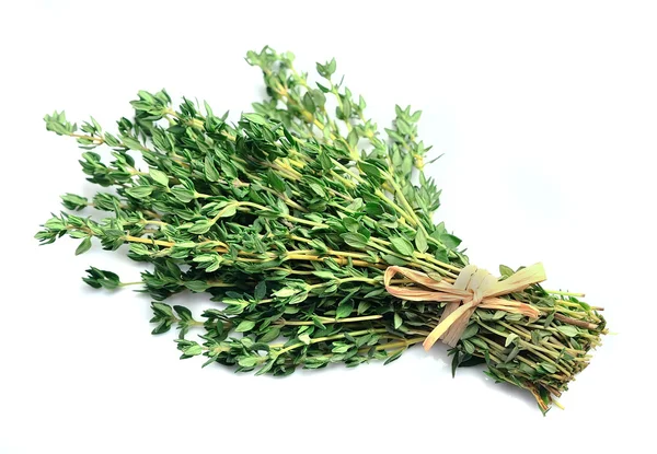 Thyme herbs close up. — Stock Photo, Image