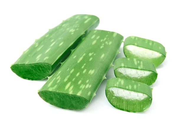 Aloe vera em branco  . — Fotografia de Stock