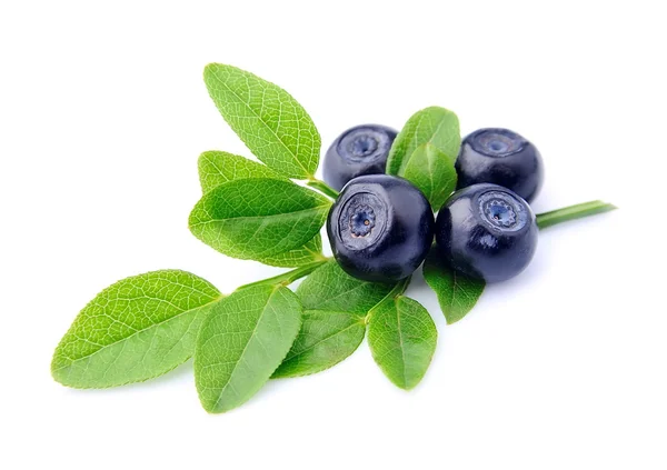 Sweet blueberries close up. — Stock Photo, Image