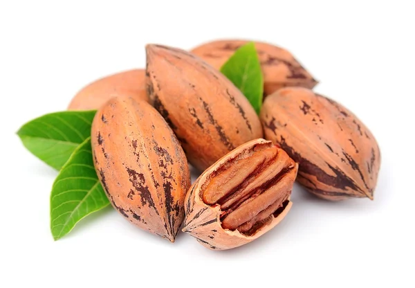 Pecan nötter närbild — Stockfoto