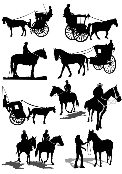 Silhouettes Chevaux Sur Fond Blanc Illustration Vectorielle — Image vectorielle