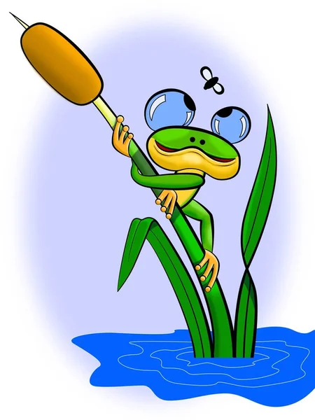 Cartoon Image Frogling Reed Falls Fly — Stock Photo, Image