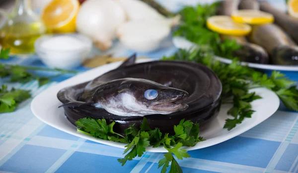 Sea eel fish ready for cooking — Stock Photo, Image