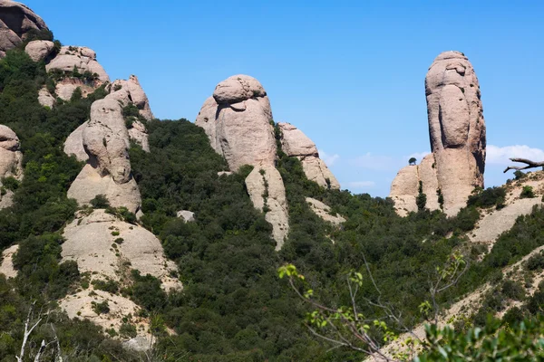 Rocas de Montserrat en verano —  Fotos de Stock