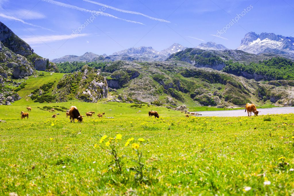 Montañas paisaje con lago y pastos — Foto de stock © Jim_Filim #100994822