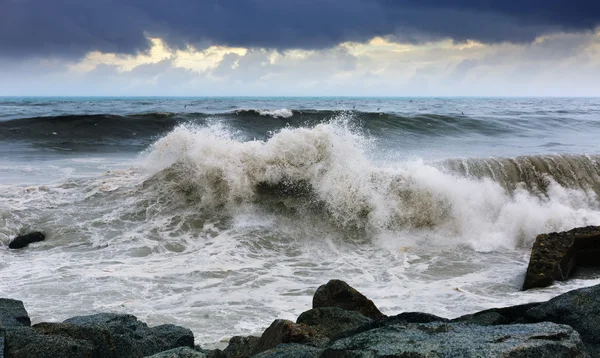 Olas de mar cerca de piedras costa — Foto de Stock