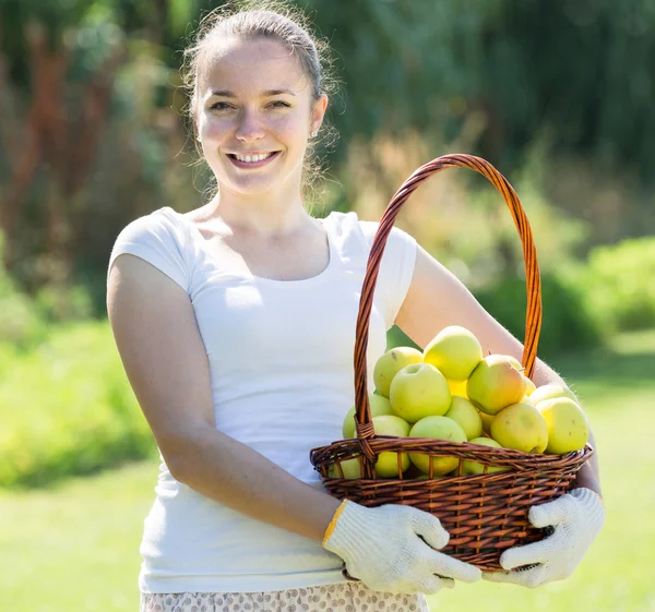 Meisje met appels oogst in tuin — Stockfoto