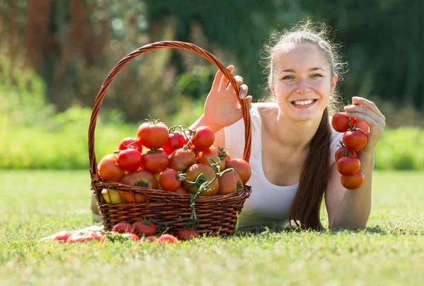 Woman picking tomato in field — Stock Photo, Image