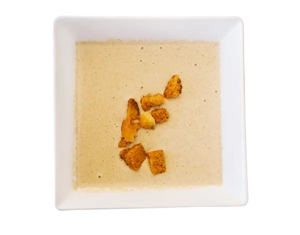 Hot field mushroom cream soup — Stock Photo, Image