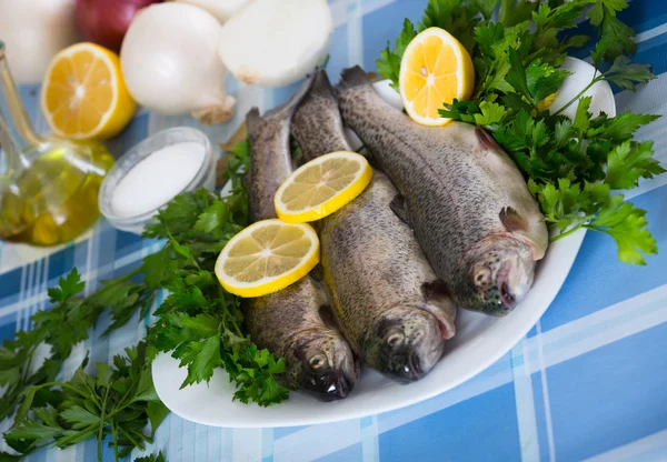 Blick aus nächster Nähe auf Aalfische — Stockfoto