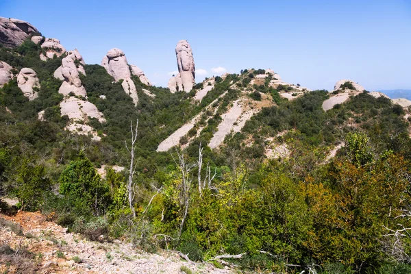 Vista de verano del paisaje de montaña —  Fotos de Stock