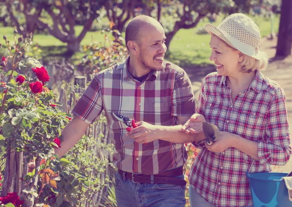 Casal cuidando de plantas verdes — Fotografia de Stock