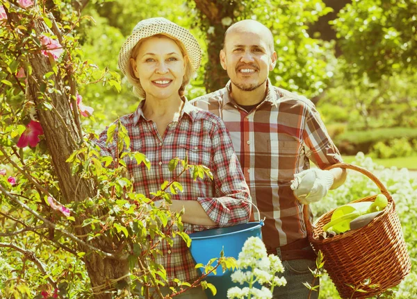 Ouderen lachen paar bezig met tuinieren — Stockfoto