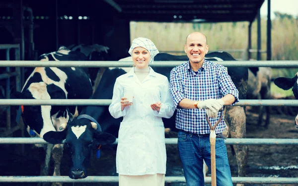 Veterinário rindo conversando com o agricultor — Fotografia de Stock