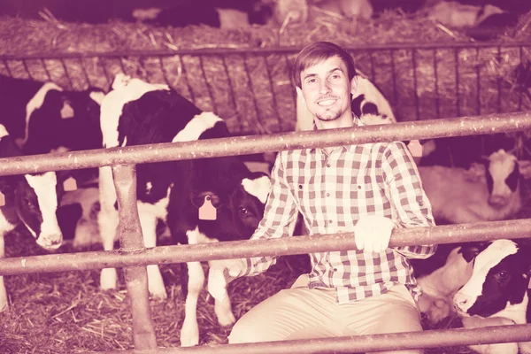 Joven feliz acariciando vacas —  Fotos de Stock