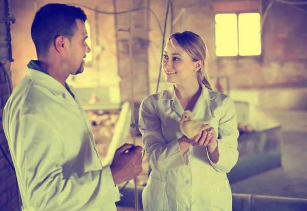 Two veterinarian talking — Stock Photo, Image