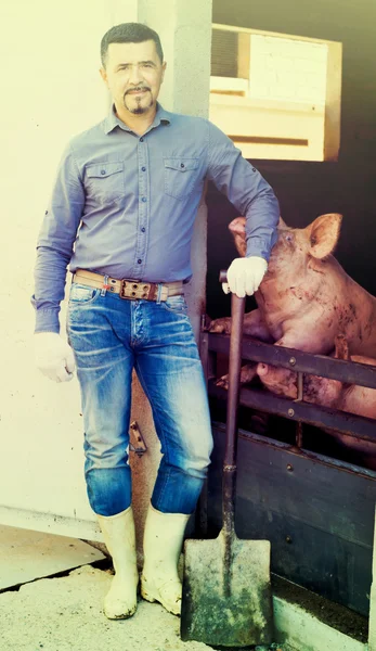 Uomo contadino in piedi nel porcile — Foto Stock